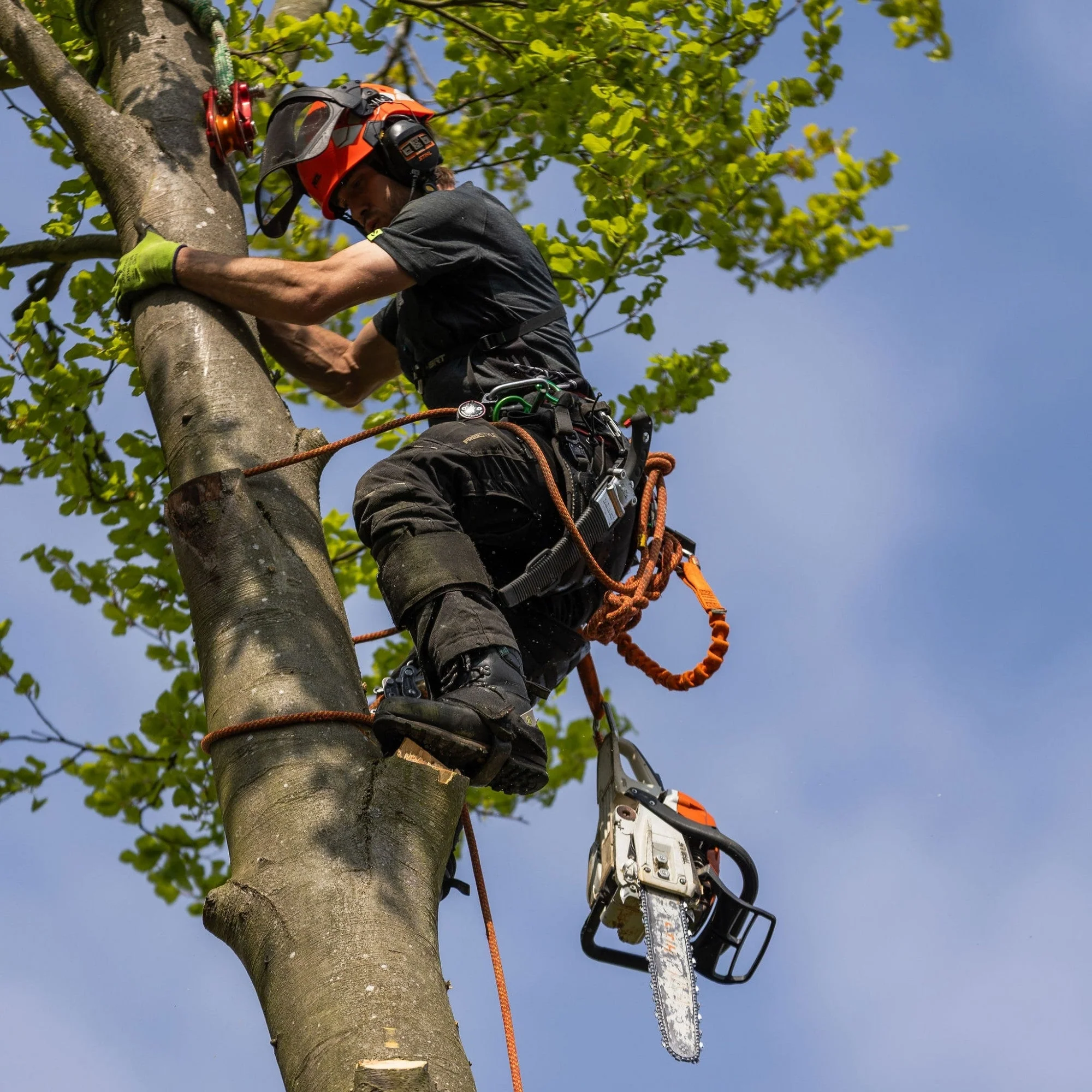 Rivenoak Arboriculture website